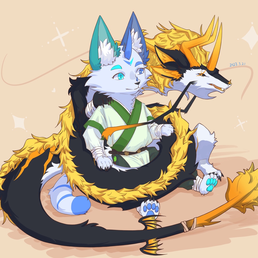 要来点毛绒绒吗!