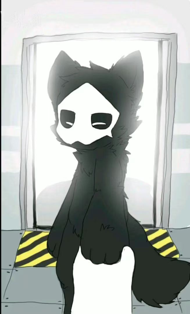 兽兽